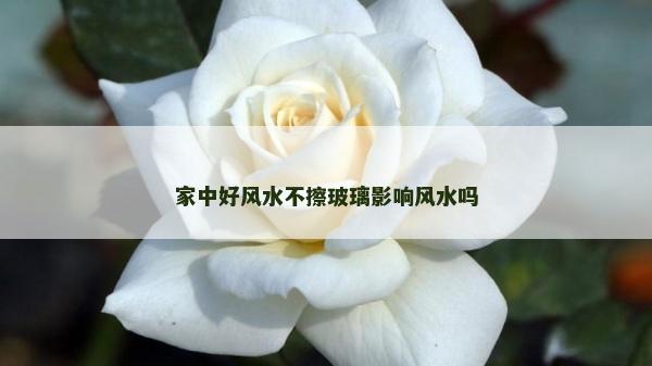 家中好風水不擦玻璃影響風水嗎