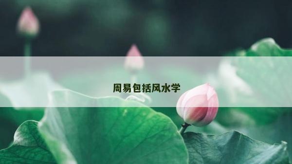周易包括風水學