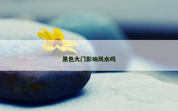 黑色大門影響風水嗎