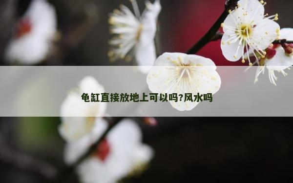 龜缸直接放地上可以嗎?風水嗎