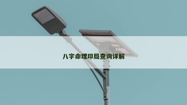八字命理印局查詢詳解