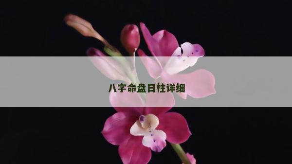 八字命盤日柱詳細