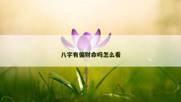 八字有偏財(cái)命嗎怎么看 八字有偏財(cái)命嗎怎么看