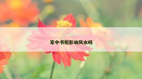 家中書柜影響風水嗎