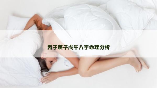 丙子庚子戊午八字命理分析