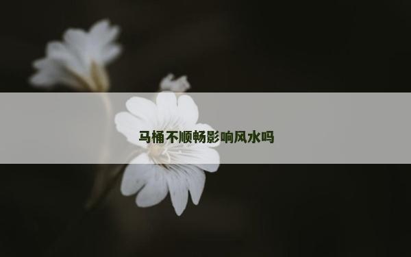 馬桶不順暢影響風水嗎
