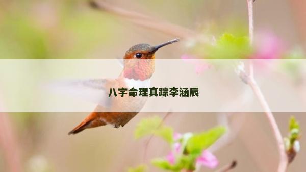 八字命理真蹤李涵辰