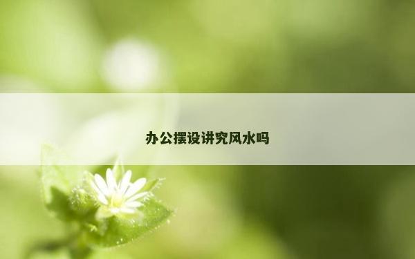 辦公擺設講究風水嗎 辦公擺設講究風水嗎