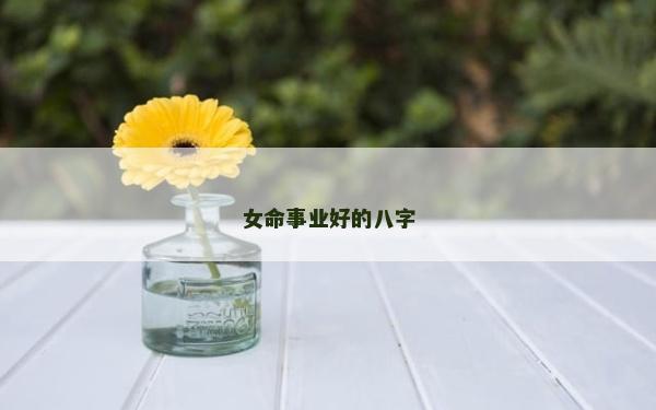 女命事業(yè)好的八字