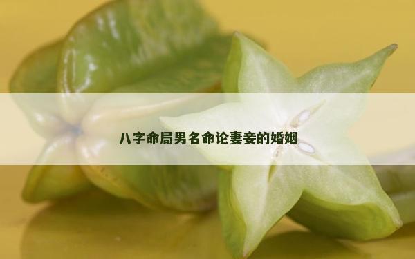 八字命局男名命論妻妾的婚姻