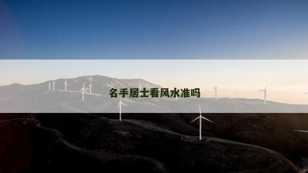 名手居士看風(fēng)水準(zhǔn)嗎