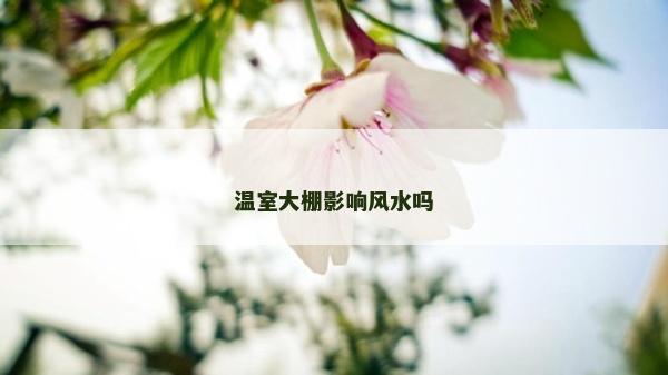 溫室大棚影響風水嗎