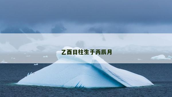 乙酉日柱生于丙辰月