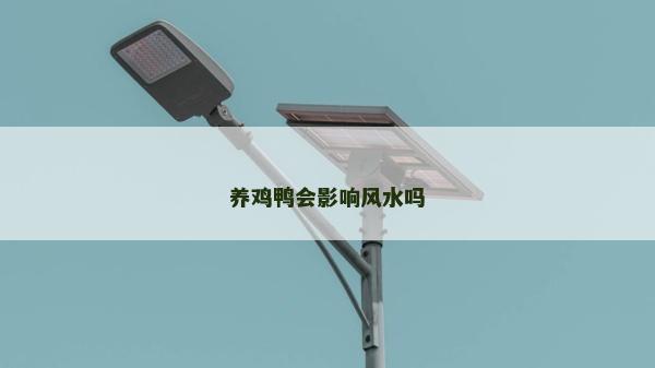 養雞鴨會影響風水嗎