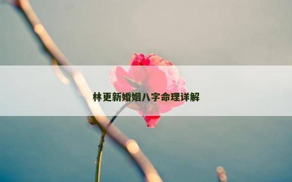 林更新婚姻八字命理詳解
