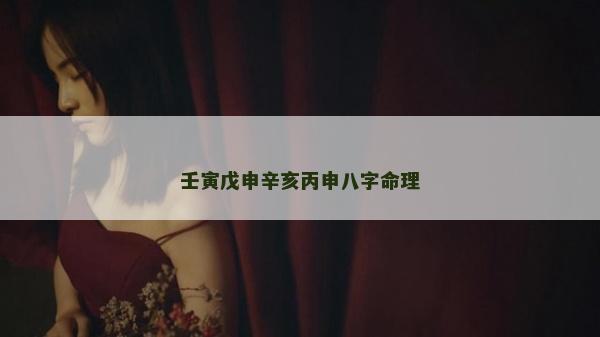 壬寅戊申辛亥丙申八字命理
