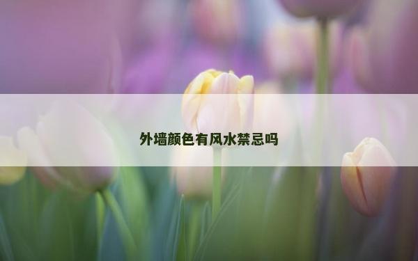 外墻顏色有風水禁忌嗎