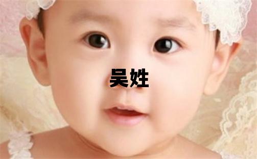 吳姓冷門獨特的男孩名字,取什么名字好