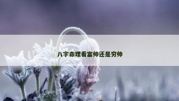 八字命理看富帥還是窮帥