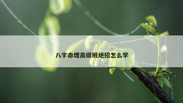 八字命理高級班絕招怎么學