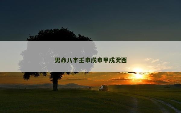 男命八字壬申戊申甲戌癸西