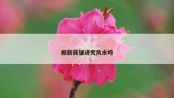 搬新商鋪講究風水嗎