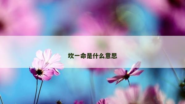坎一命是什么意思