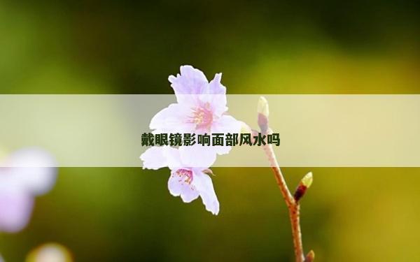 戴眼鏡影響面部風(fēng)水嗎 戴眼鏡影響面部風(fēng)水嗎