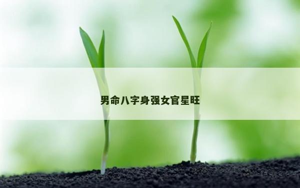 男命八字身強女官星旺