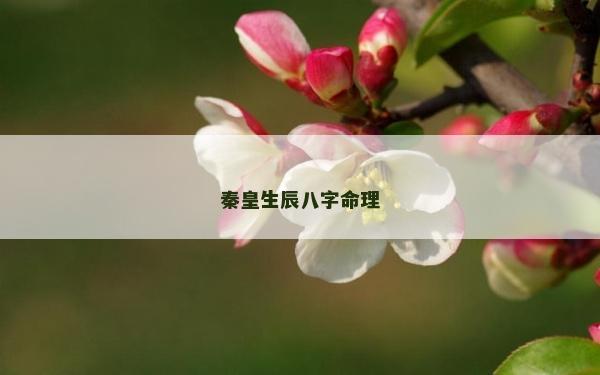 秦皇生辰八字命理