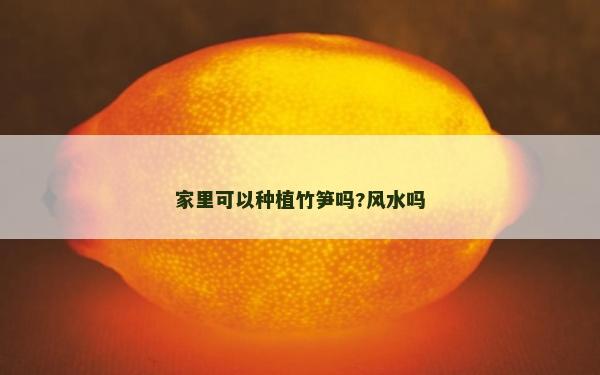 家里可以種植竹筍嗎?風水嗎
