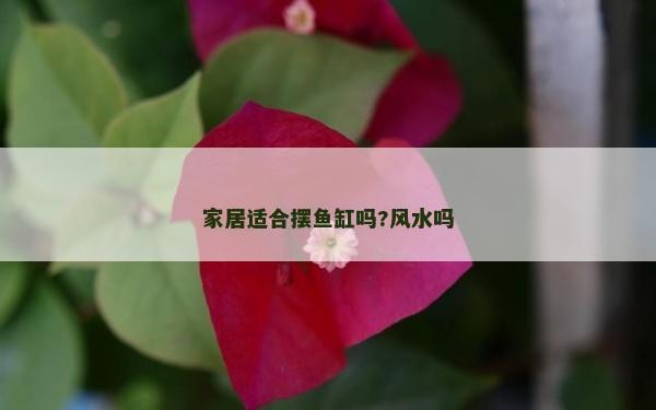 家居適合擺魚缸嗎?風(fēng)水嗎