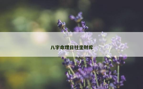 八字命理日柱坐財庫