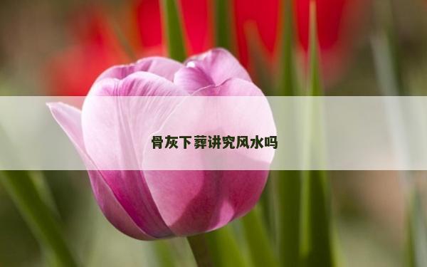 骨灰下葬講究風水嗎