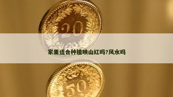 家里適合種植映山紅嗎?風(fēng)水嗎