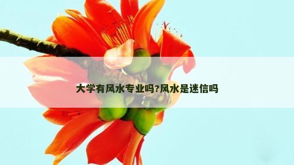 大學(xué)有風(fēng)水專業(yè)嗎?風(fēng)水是迷信嗎