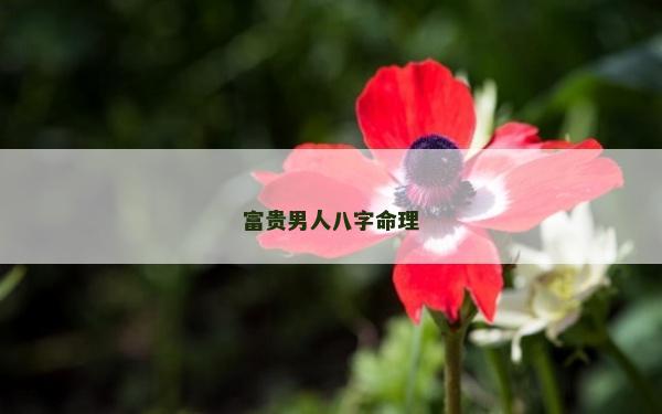富貴男人八字命理