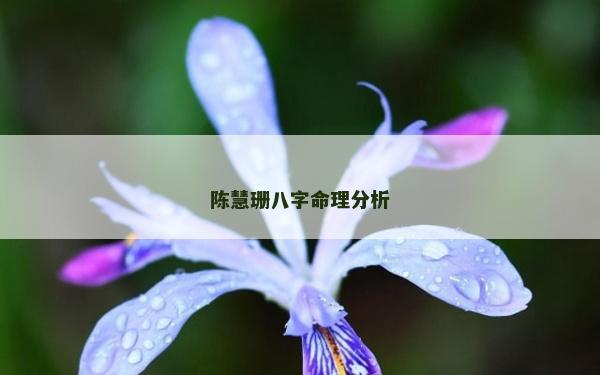 陳慧珊八字命理分析