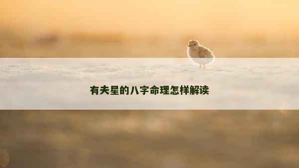 有夫星的八字命理怎樣解讀