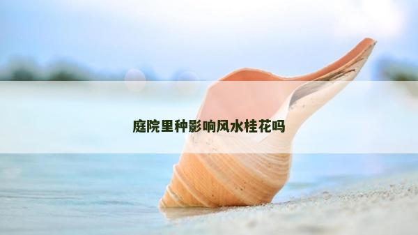 庭院里種影響風水桂花嗎