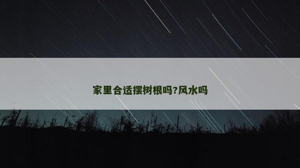 家里合適擺樹根嗎?風(fēng)水嗎 家里合適擺樹根嗎?風(fēng)水嗎