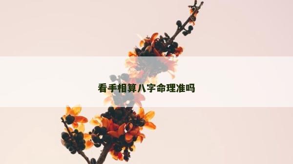 看手相算八字命理準嗎