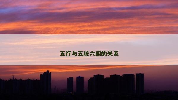 五行與五臟六腑的關系
