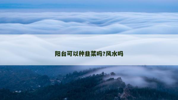 陽(yáng)臺(tái)可以種韭菜嗎?風(fēng)水嗎