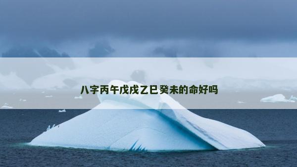 八字丙午戊戌乙巳癸未的命好嗎