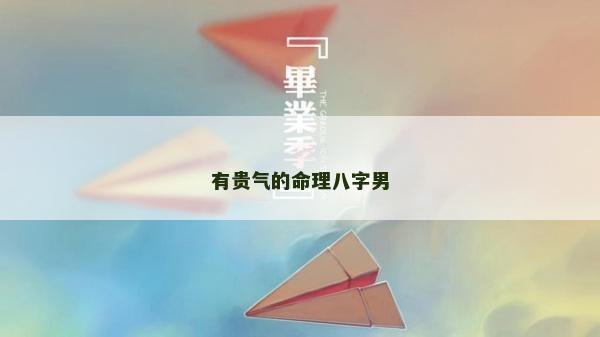 有貴氣的命理八字男