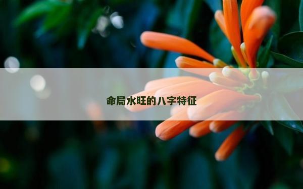 命局水旺的八字特征