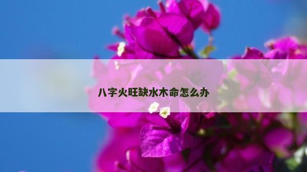 八字火旺缺水木命怎么辦