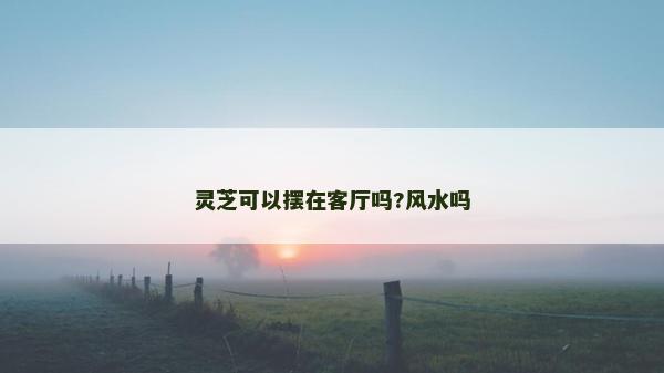 靈芝可以擺在客廳嗎?風(fēng)水嗎