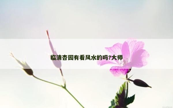 臨清杏園有看風水的嗎?大師